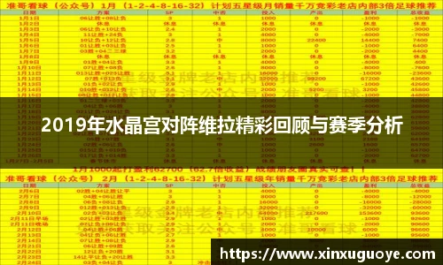 2019年水晶宫对阵维拉精彩回顾与赛季分析
